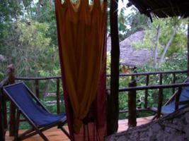 Jungle Terrace